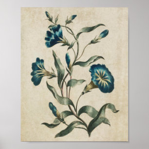 Vintage Floral Botânico Convulso Impressão
