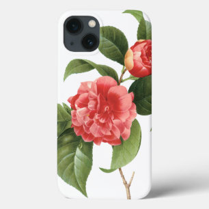 Vintage floral, flores cor-de-rosa da camélia por