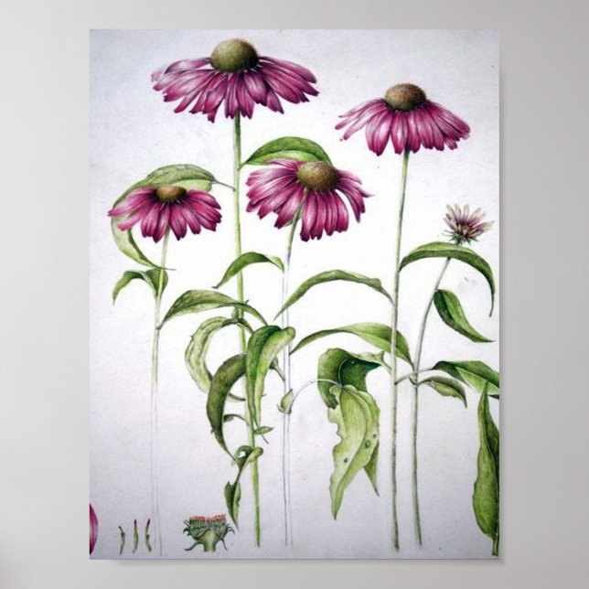 Vintage Floral Poster (Frente)