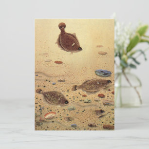 Vintage Flounders — Convite À Pesca De Peixes Plan