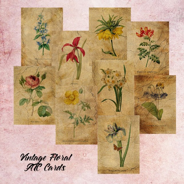 Vintage Flower ATC Cards Página inicial (Criador carregado)