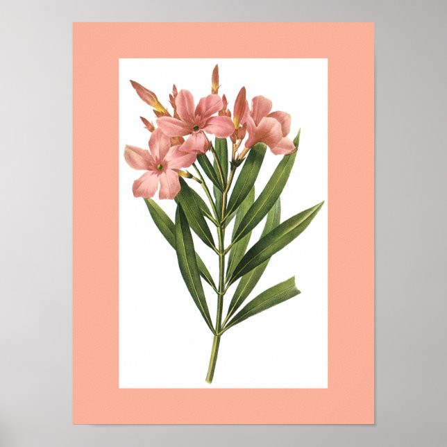 Vintage Flower poster 3 (Frente)
