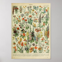 Vintage Forest Floral Flower Plant Poster