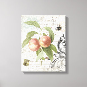 Vintage França Botânica Peach estilada canvas