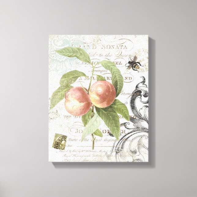 Vintage França Botânica Peach estilada canvas (Frente)
