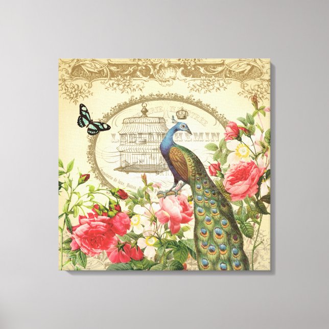 Vintage French Peacock esticou canvas (Frente)