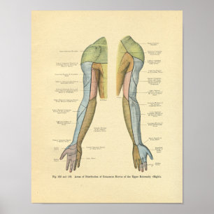 Vintage Frohse Arm Nervoso Impressão