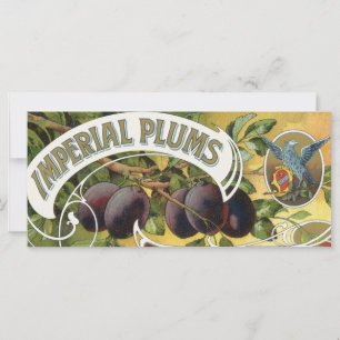 Vintage Fruta Crate Label Art, Imperial Plums