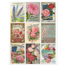 Vintage Garden e Flor Seeds Ephemera Clipart