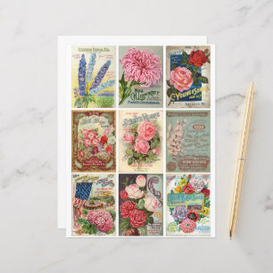 Vintage Garden e Flor Seeds Ephemera Clipart