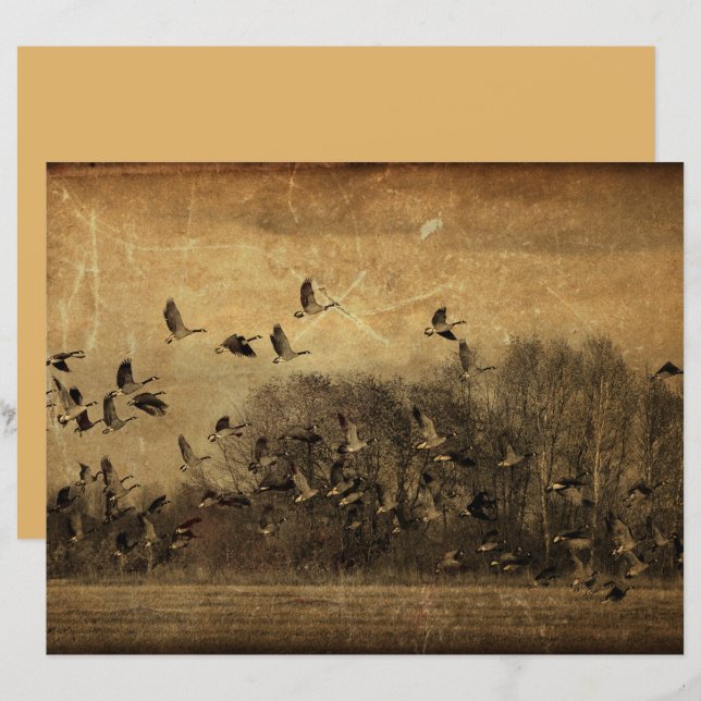 Vintage Geese Antiguidade Sepia Textura de fauna s (Frente/Verso)