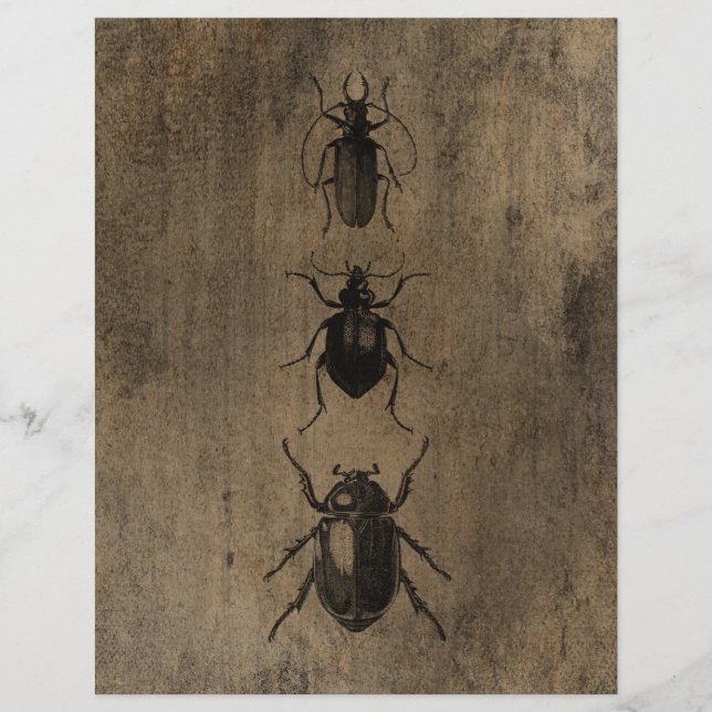 Vintage Grunge Beetles Scrapbook Paper (Frente)