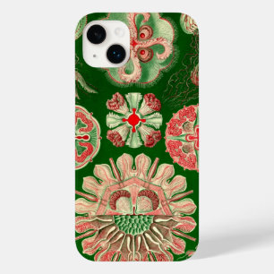 Vintage Haeckel