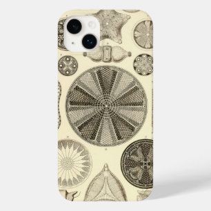 Vintage Haeckel
