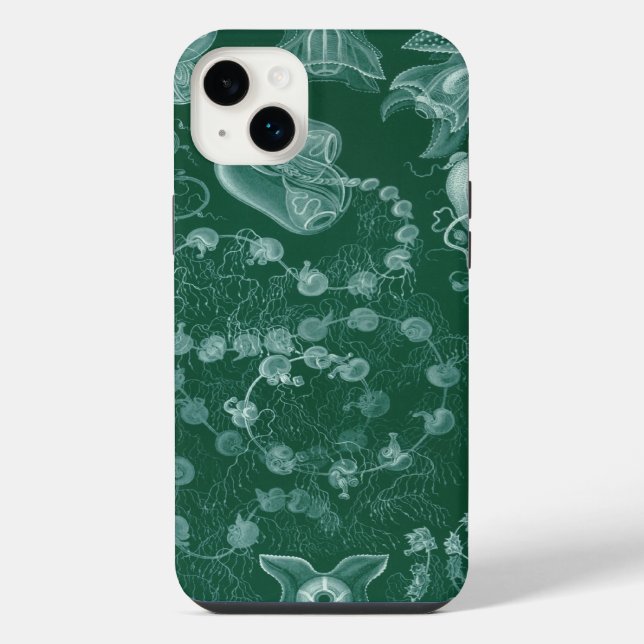 Vintage Haeckel (Verso)