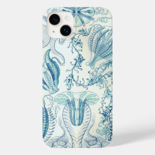 Vintage Haeckel