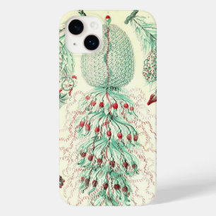 Vintage Haeckel