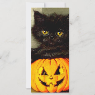 Vintage Halloween Cat e Jack-o-lantern Card