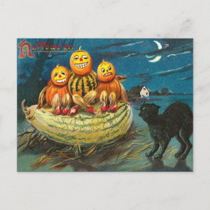 Vintage Halloween Gourds, Cartão Postal Halloween