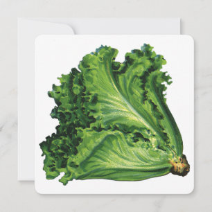 Vintage Health Comidas Green Leaf Lettuce Inviatio