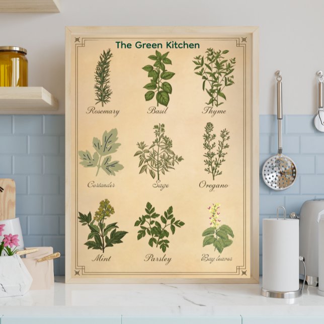 Vintage Herb Chart Botanical Kitchen Poster (Criador carregado)