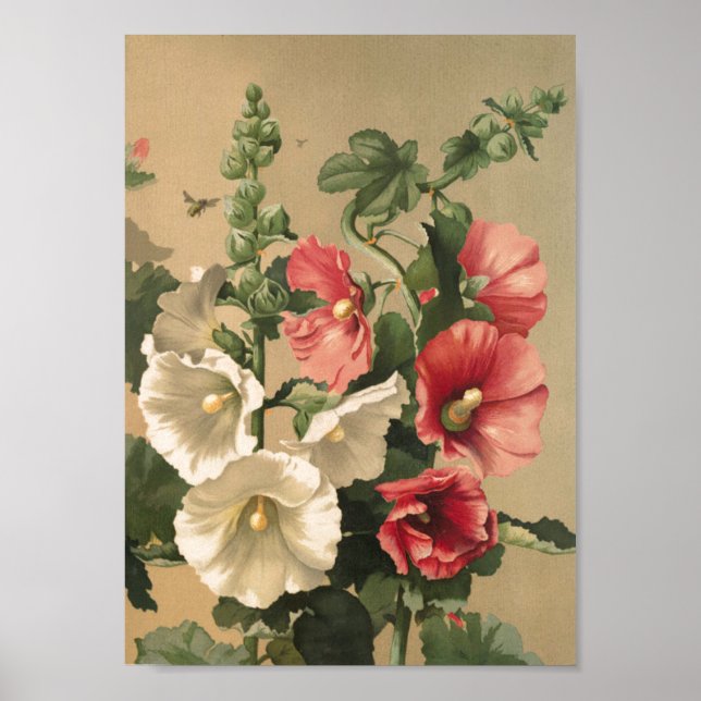 Vintage Hollyhocks Art Poster (Frente)
