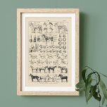 Vintage Horse Breeds & Anatomtic Chart Poster fran<br><div class="desc">Criamos isto de uma página na nossa antiga coleção de papel. A página original é de um notável livro de referência francês, cerca de 1920. Apresenta ilustrações de várias raças equinas e aspectos da anatomia equina. O texto está em francês. A página original é amarelada com a idade, dando-lhe uma...</div>