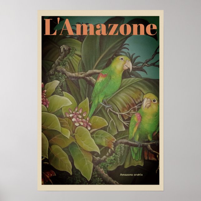 Vintage L'Amazone Poster de viagens (Frente)