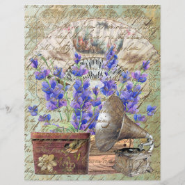 Vintage Lavanda Lace Fan Hat box Gramophone