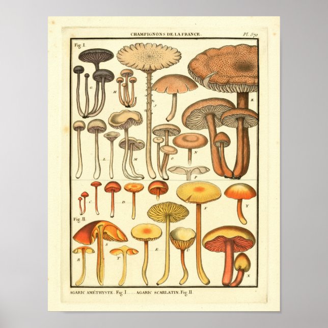 Vintage Mushroom Brown Yellow Art Impressão (Frente)