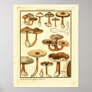 Vintage Mushrooms Boné Brown Art Impressão
