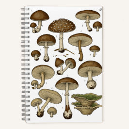 Vintage Mushrooms Notebook