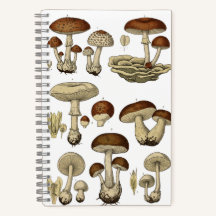 Vintage Mushrooms Notebook