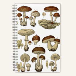 Vintage Mushrooms Notebook