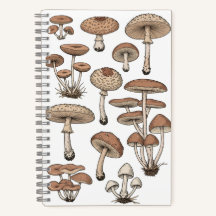 Vintage Mushrooms Notebook