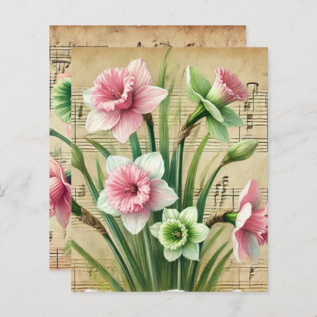 Vintage Music Pink & Green Daffodils Scrapbook (Frente/Verso)
