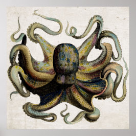Vintage Octopus Impressão Poster