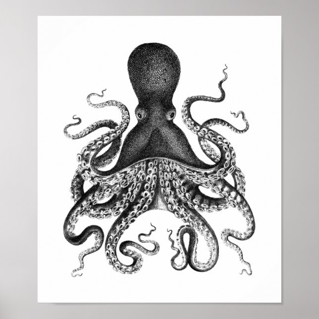 Vintage Octopus Poster (Frente)