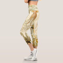 Vintage Octopus Squid Gamochonia por Ernst Haeckel