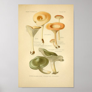 Vintage Orange Mushrooms Art Impressão francês