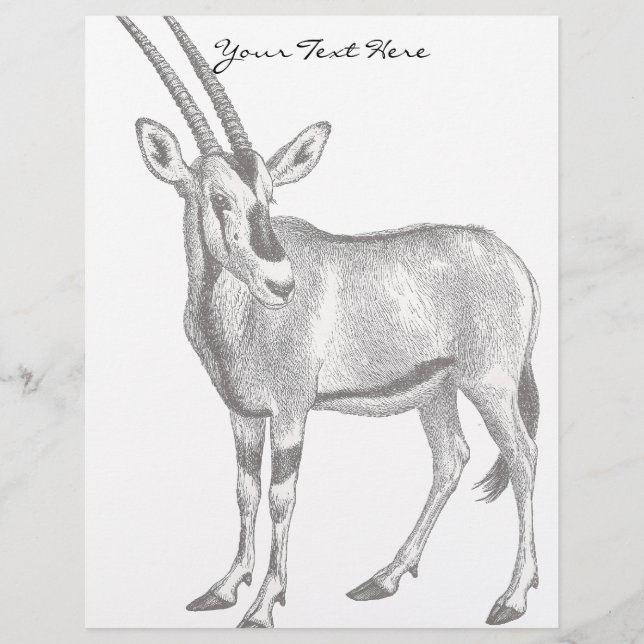 Vintage Oryx Letterhead (Frente)
