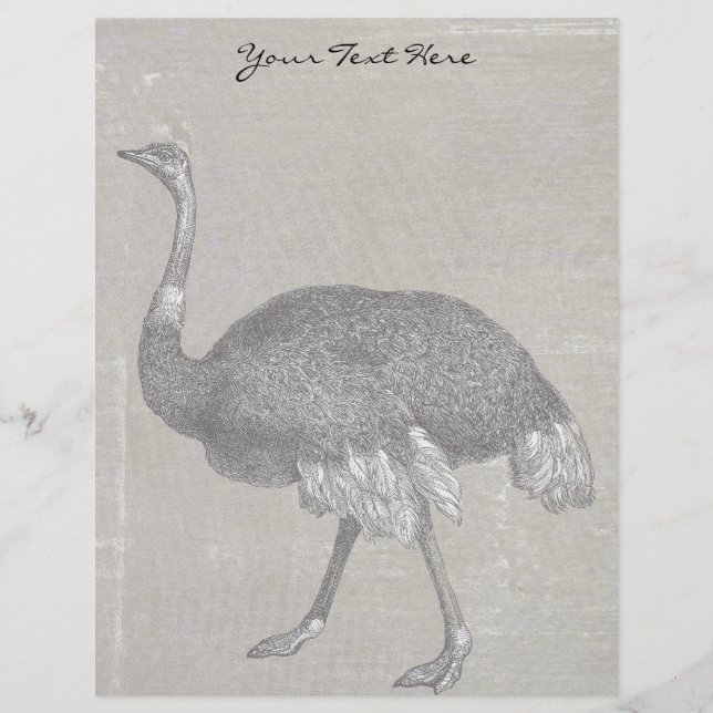 Vintage Ostrich (Frente)