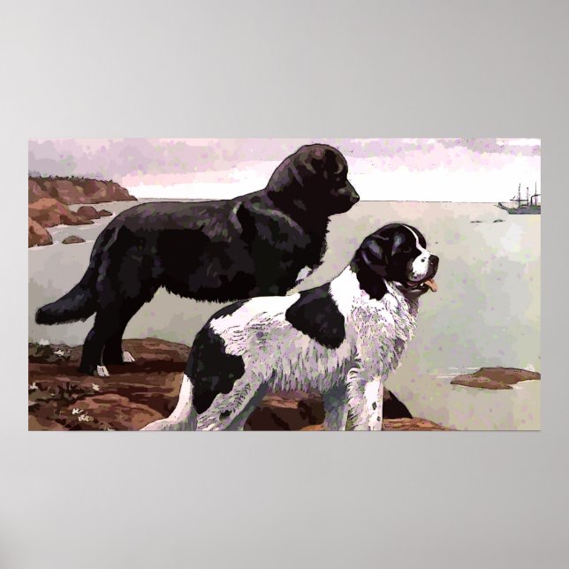 Vintage Painted Newfound Poster (Frente)