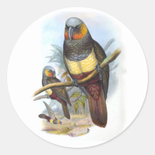 Vintage Parrot Bird PE_GC - Adesivo