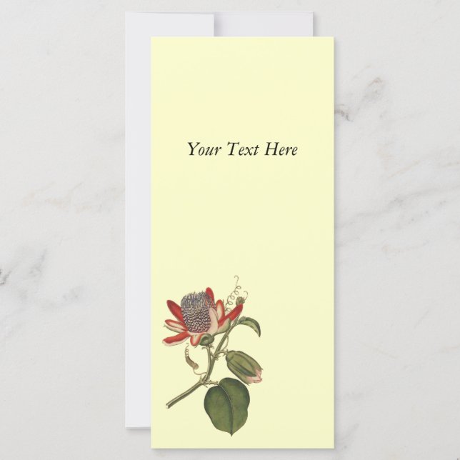 Vintage Passion Flower (Frente)