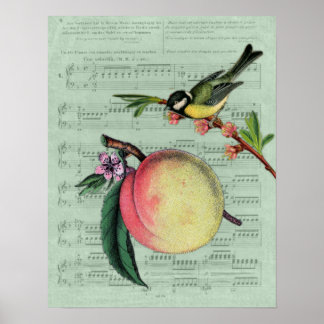 Vintage Peach e Bird Poster