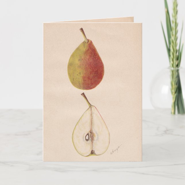 Vintage Pears - Cartão de Saudação (Frente)