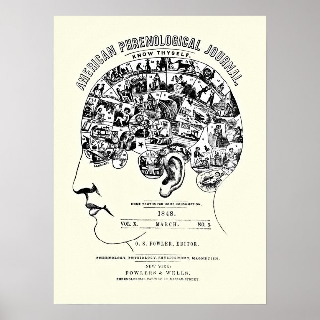 Vintage Phrenology Poster (Frente)
