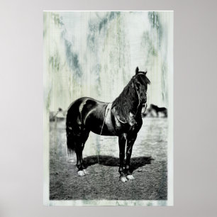 Vintage - Poster da União da Guerra Civil