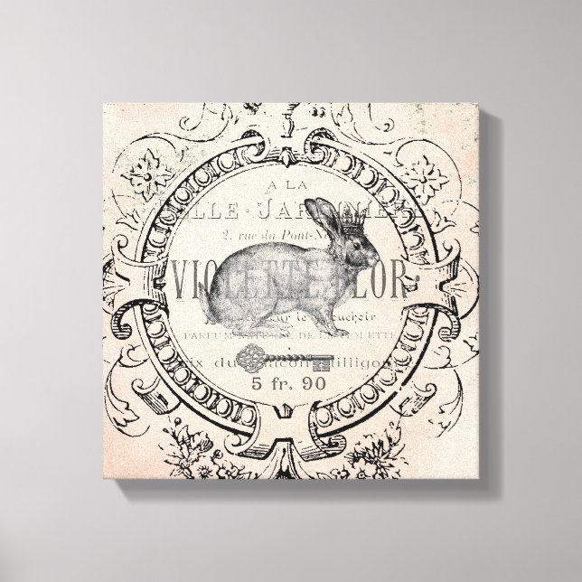 Vintage Primavera francês Rabbit esticado canvas (Frente)